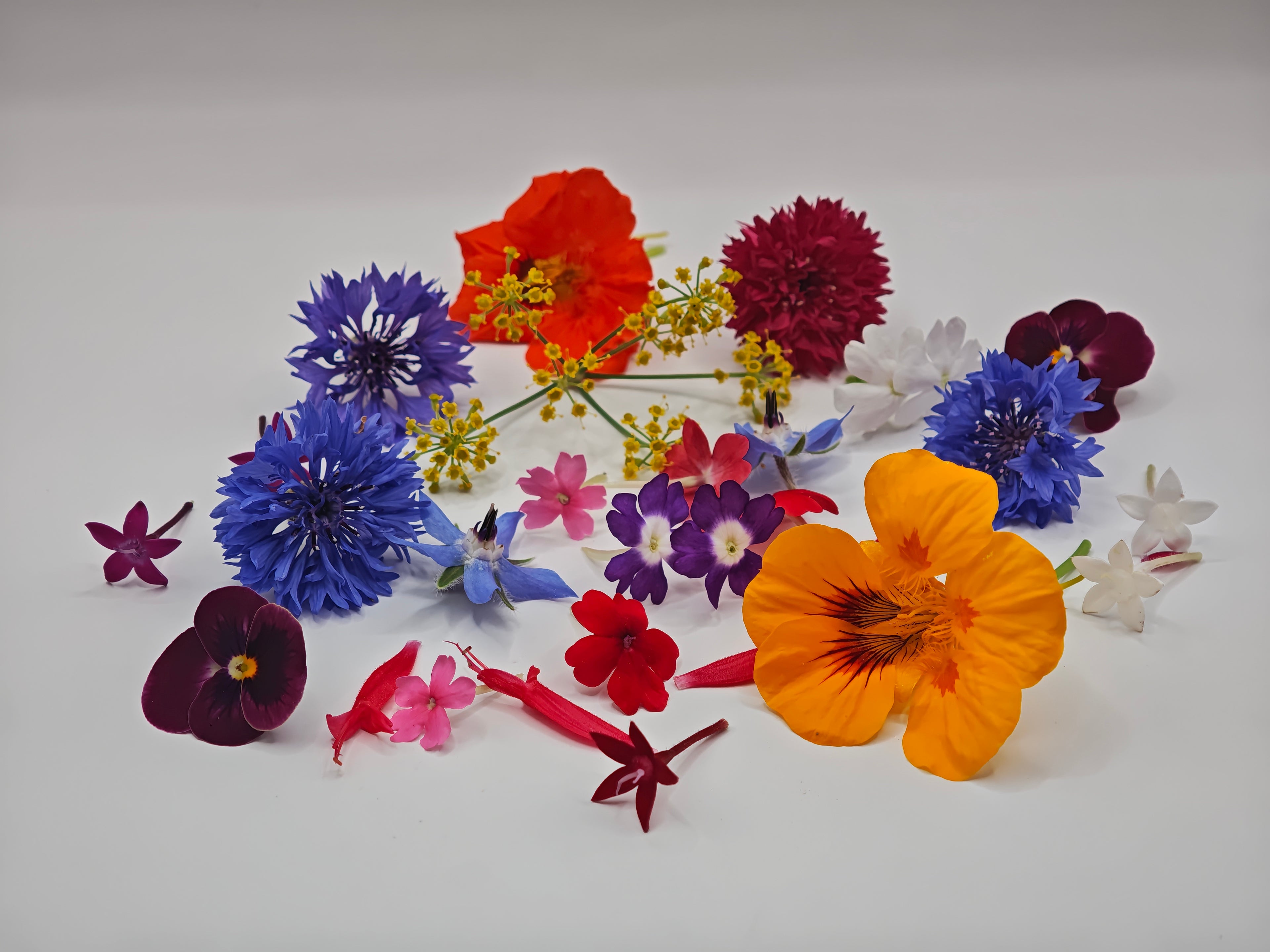 Organic Mixed edible Flower (35 pieces)