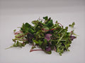 Premium spicy microgreen mix (30 gram)