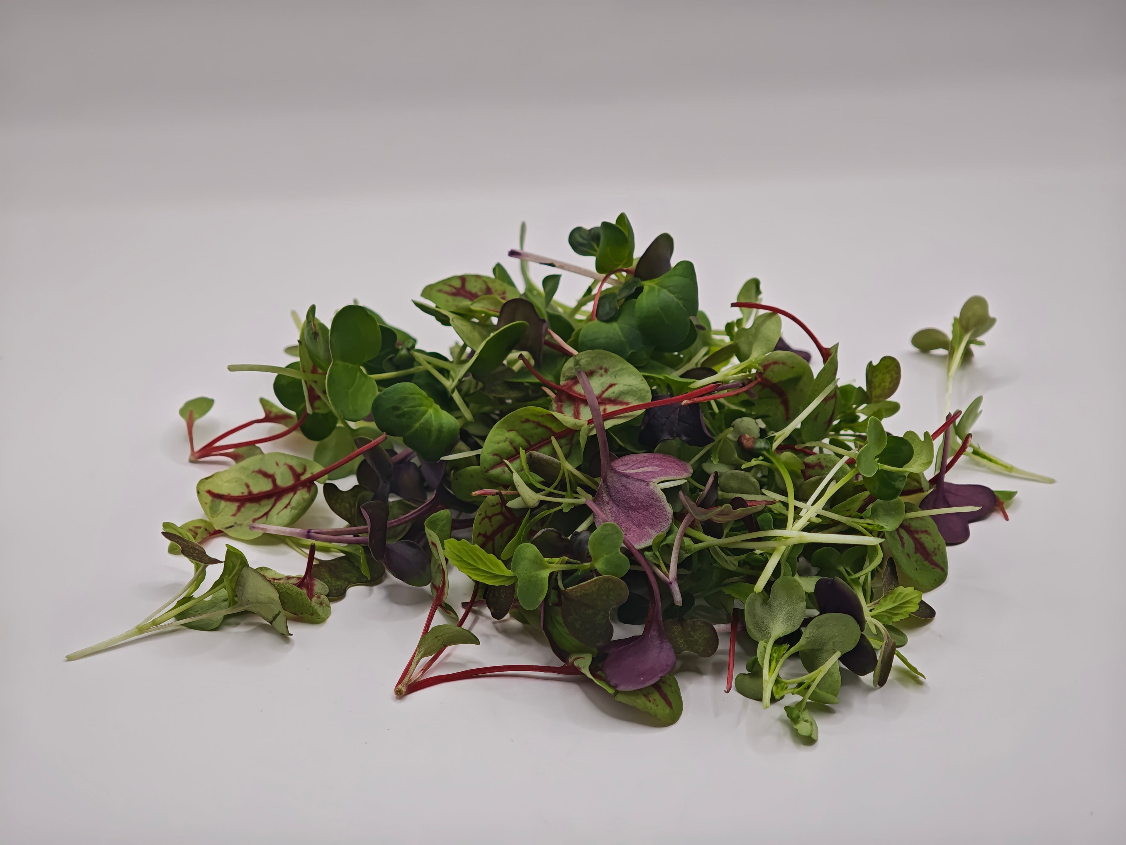 Premium spicy microgreen mix (30 gram)